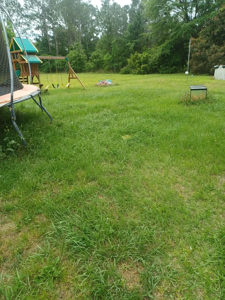 Professional yard cleanup service experts serving Jesup, GA - Team James Lawn And Residential Services