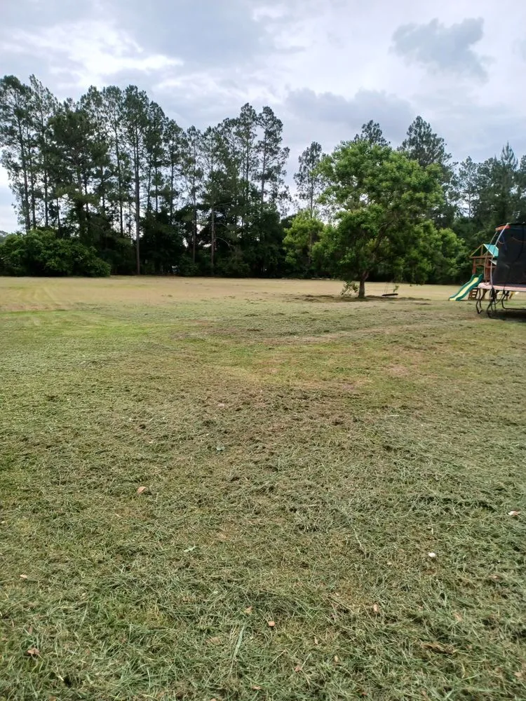 Trusted residential landscaping in Jesup, GA by Team James Lawn And Residential Services