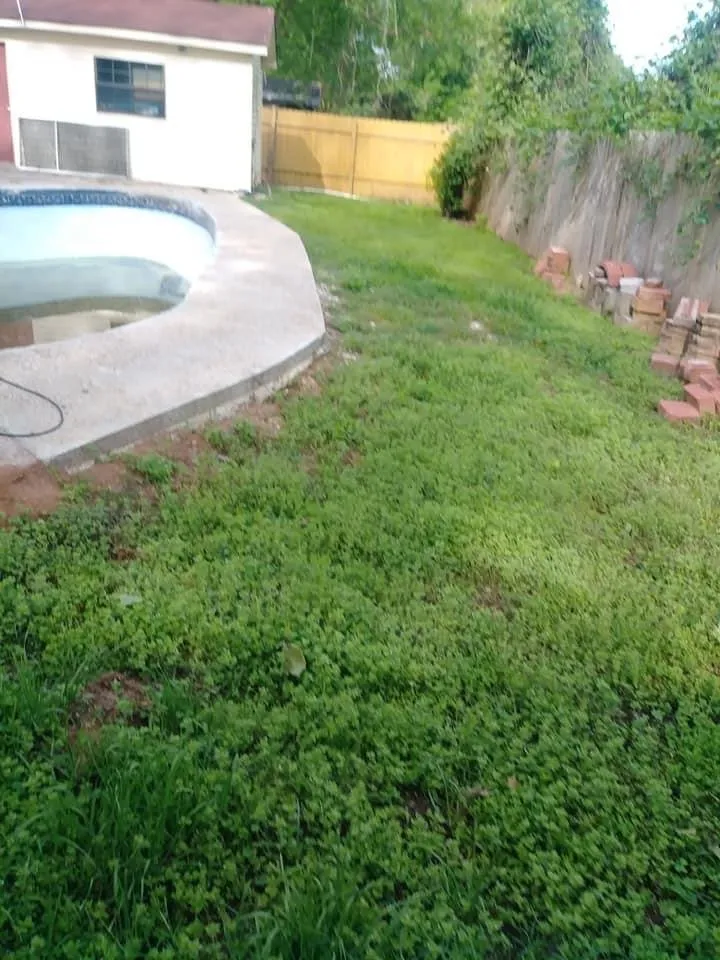 Top-rated landscape installation experts serving Stonewall, LA - Team Jesus Lawn Care