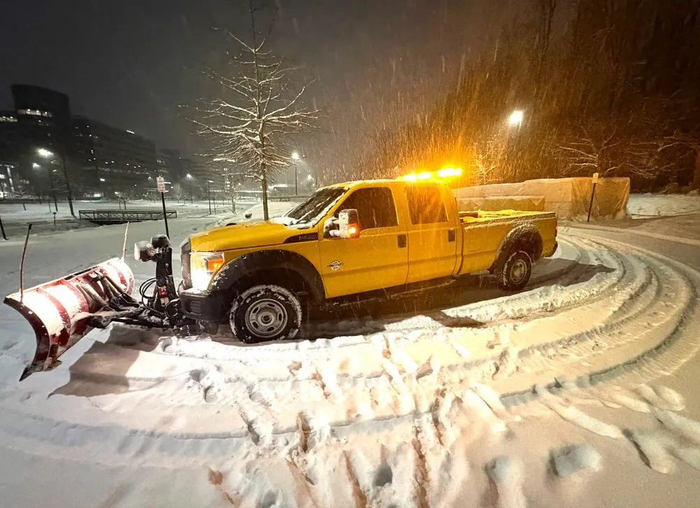 Affordable landscaping services in Chantilly, VA by Team Jeva Landscaping Service