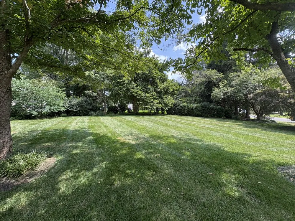 Expert yard maintenance in Chantilly, VA by Team Jeva Landscaping Service