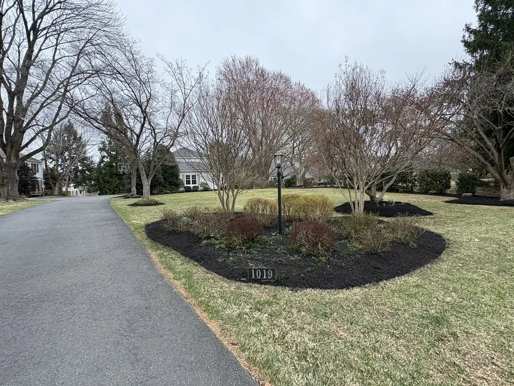 Local landscape installation in Chantilly, VA - Team Jeva Landscaping Service
