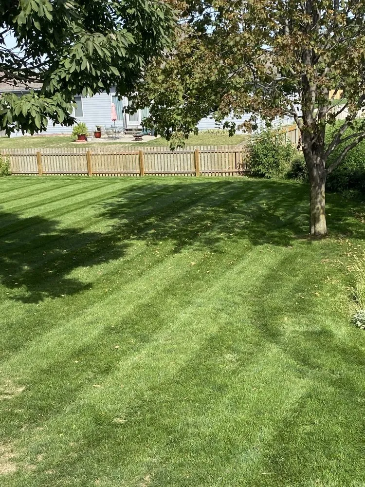 Trusted yard cleanup service in Omaha, NE by Team Kilian Services
