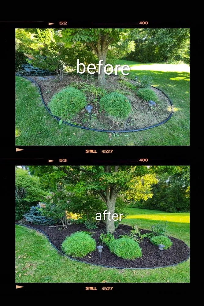 Trusted landscaping services for homes in Sun Prairie, WI by Team Martinez Lawn Care