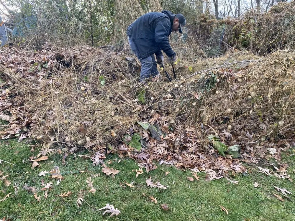 Professional residential landscaping in Sun Prairie, WI - Team Martinez Lawn Care