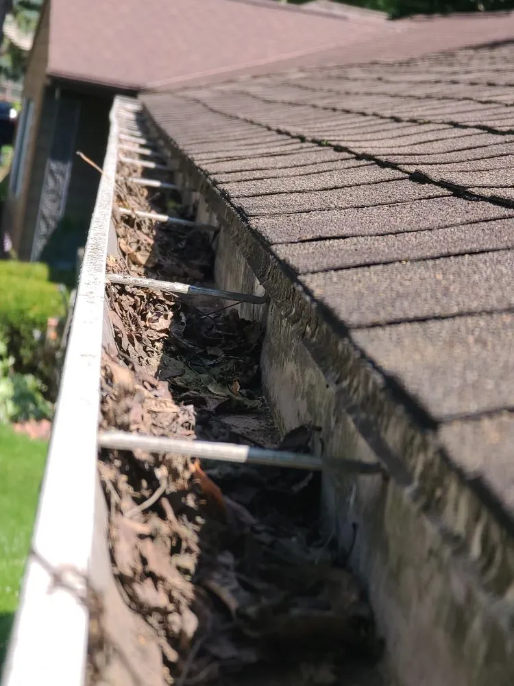 Local lawn mowing service in Sun Prairie, WI - Team Martinez Lawn Care