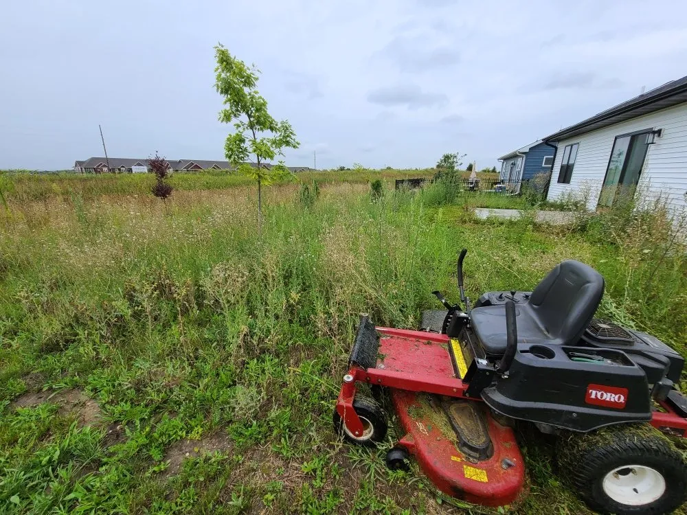 Local yard cleanup service with custom design in Sun Prairie, WI by Team Martinez Lawn Care
