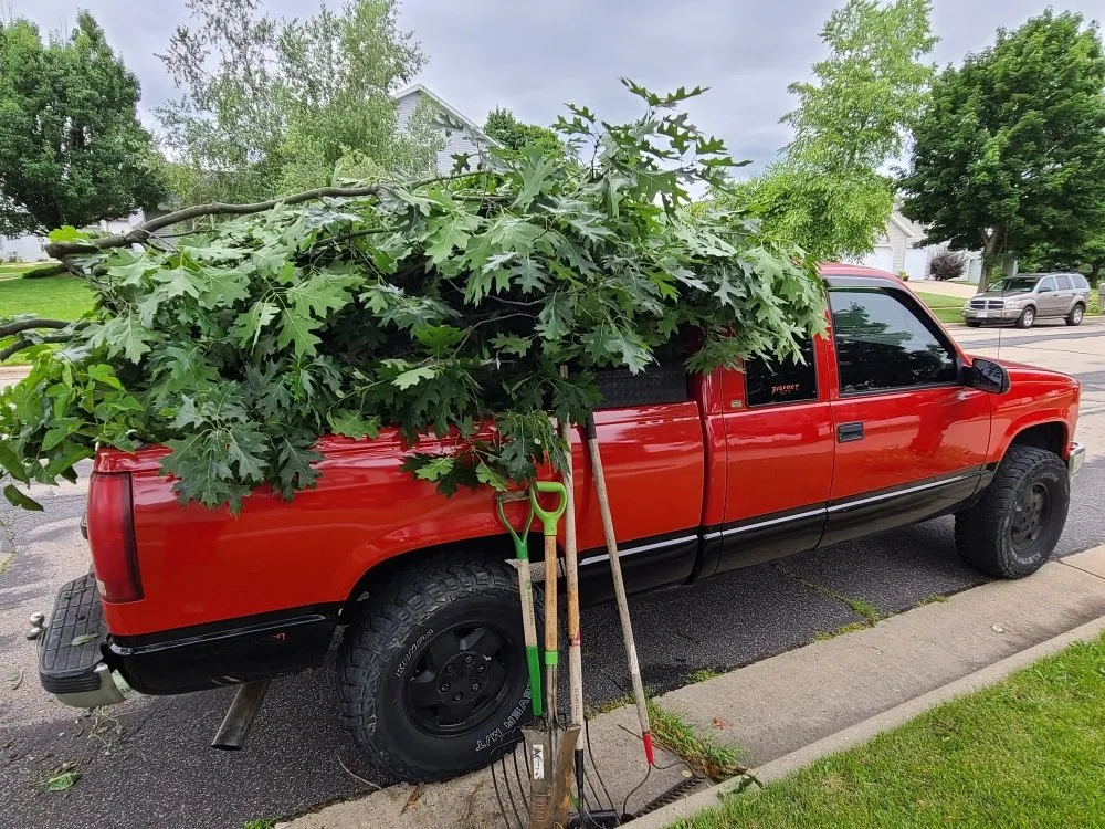 Affordable garden landscaping for year-round maintenance in Sun Prairie, WI by Team Martinez Lawn Care