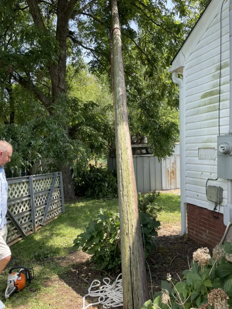 Reliable yard cleanup service in Iva, SC by Team Mercee Services