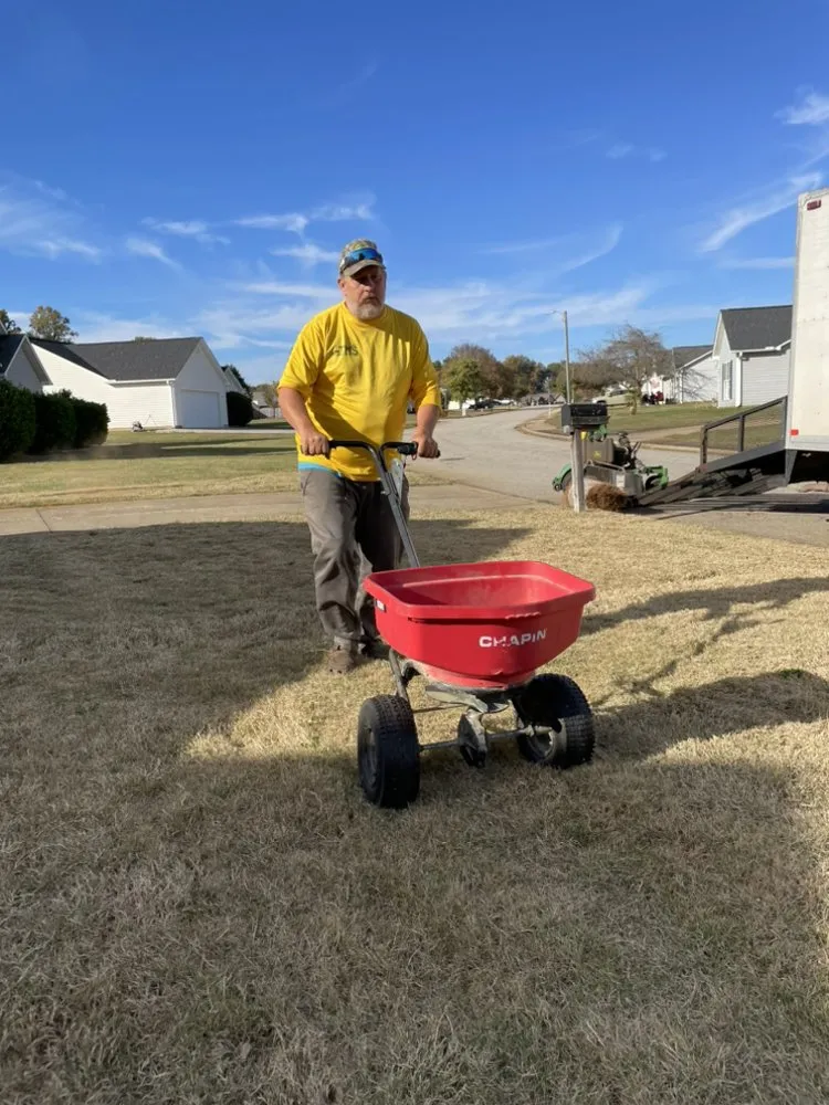 Top-rated landscape design in Iva, SC by Team Mercee Services