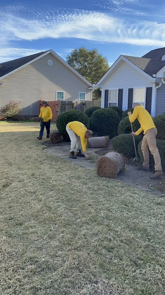 Expert garden landscaping in Iva, SC by Team Mercee Services