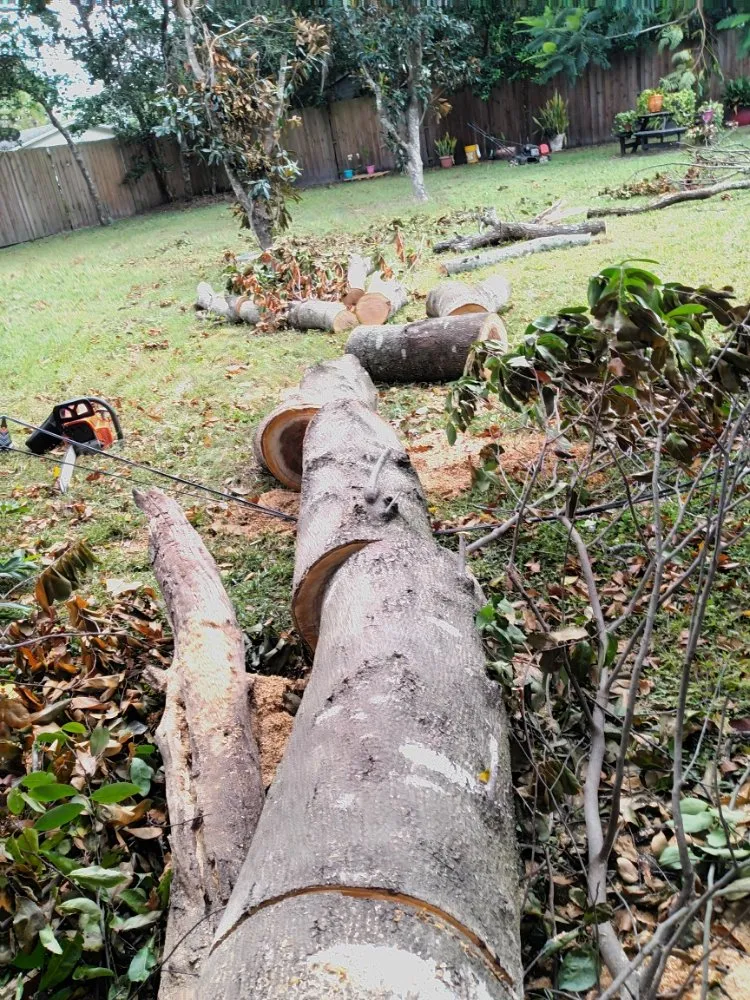 Expert yard maintenance in Altamonte Springs, FL by Team Mormon Outdoor Services