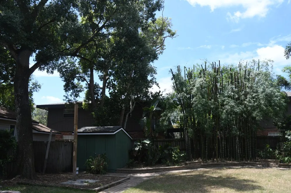 Affordable yard maintenance in Longwood, FL by Team Negrich Tree Services