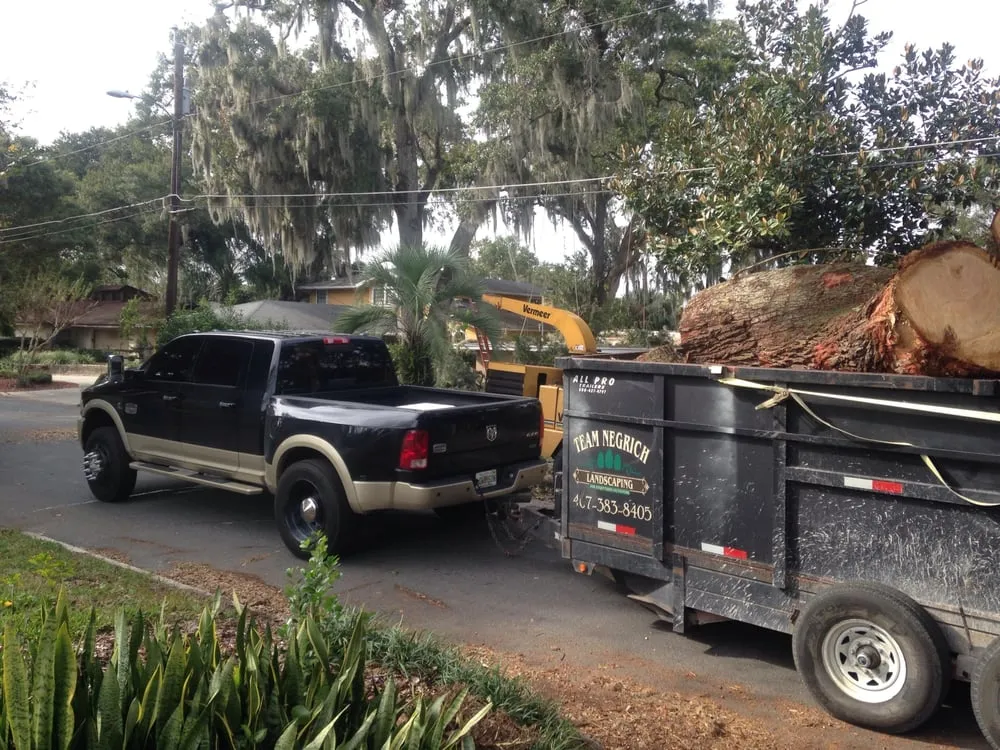 Trusted yard cleanup service with custom design across Longwood, FL - Team Negrich Tree Services