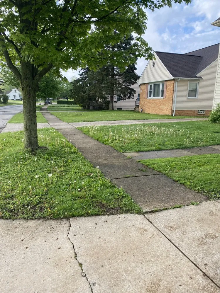 Reliable yard maintenance in Garfield Heights, OH by Team Pace 4 Hire