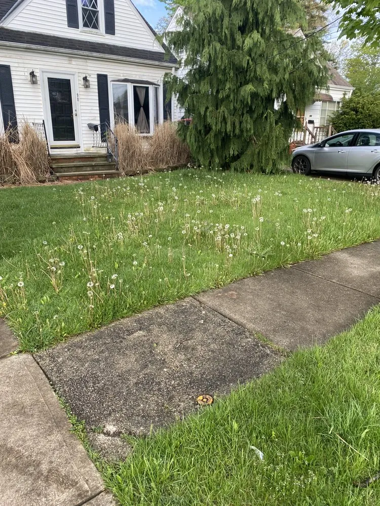 Local lawn care service with custom design in Garfield Heights, OH by Team Pace 4 Hire