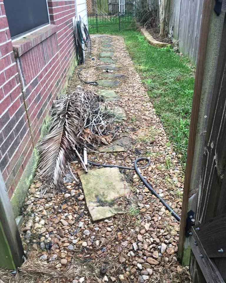 Custom yard maintenance experts serving Pearland, TX - Team Professional Services