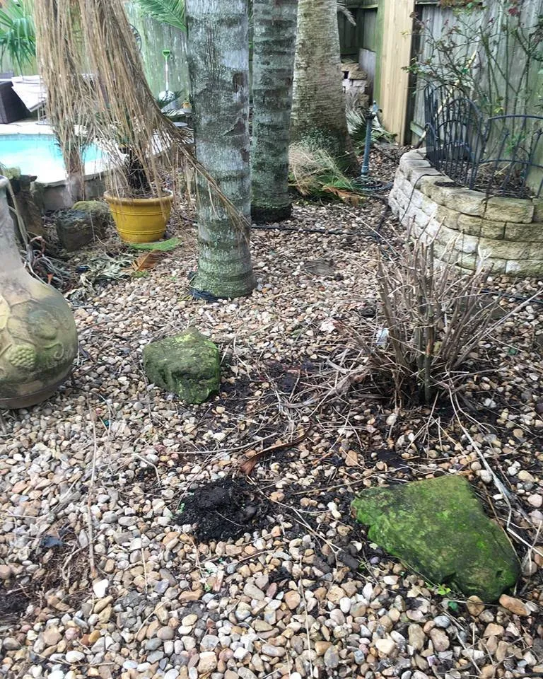 Trusted outdoor landscaping experts serving Pearland, TX - Team Professional Services