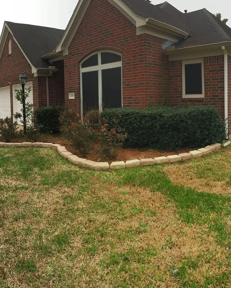 Expert yard maintenance in Pearland, TX - Team Professional Services