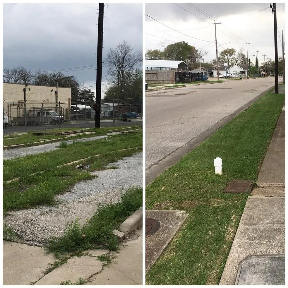 Professional lawn care service in Pearland, TX by Team Professional Services