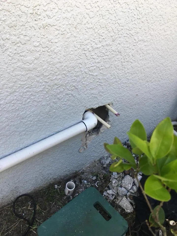 Top-rated landscape design for homes in Lutz, FL by Team Reyes Lawn & Maintenance Care