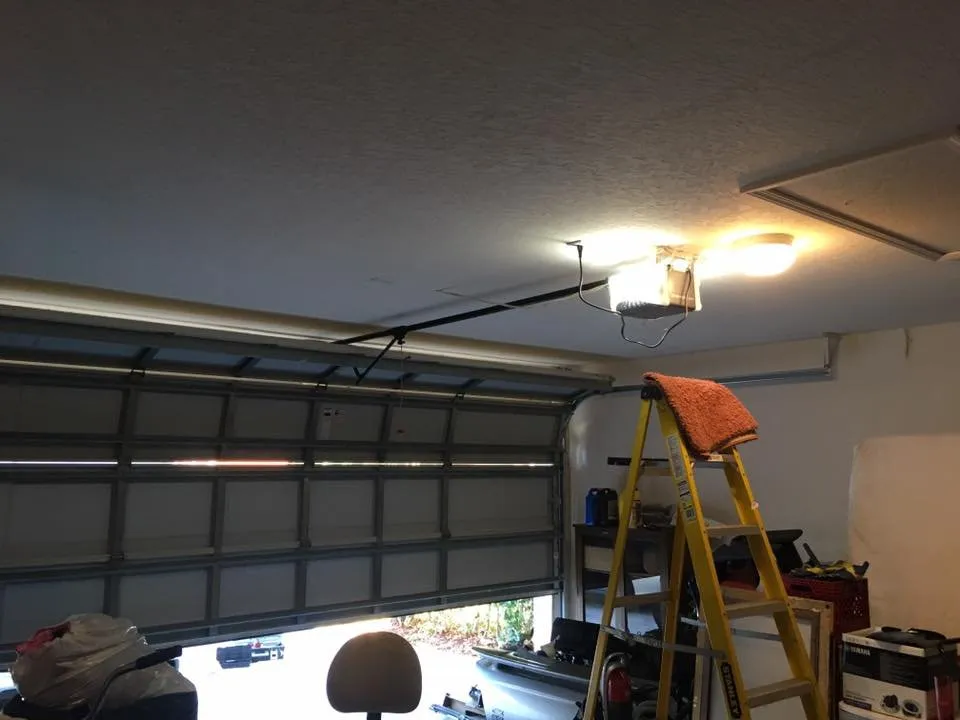 Affordable residential landscaping experts serving Lutz, FL - Team Reyes Lawn & Maintenance Care