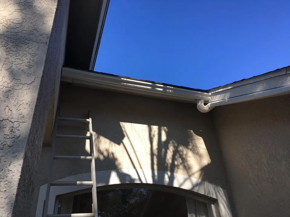 Local garden landscaping with custom design in Lutz, FL by Team Reyes Lawn & Maintenance Care