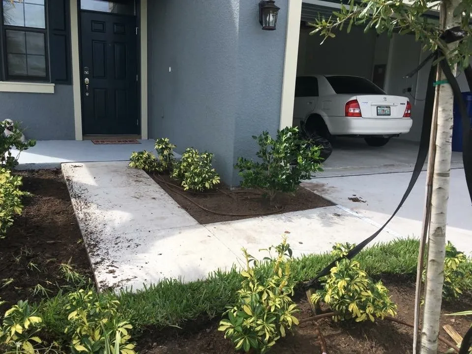 Expert outdoor landscaping for homes across Lutz, FL - Team Reyes Lawn & Maintenance Care