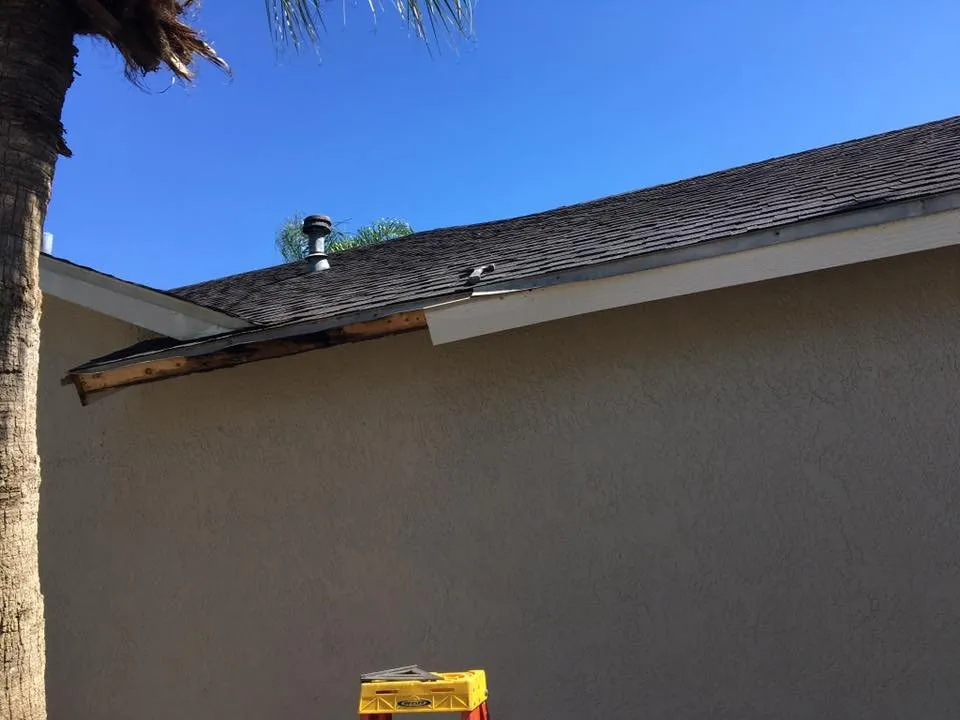 Custom residential landscaping for beautiful yards across Lutz, FL - Team Reyes Lawn & Maintenance Care