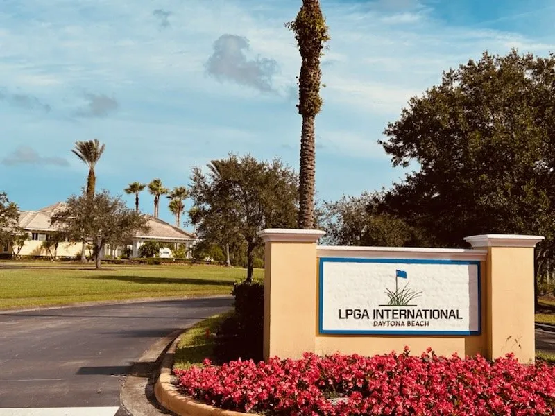 Top-rated residential landscaping in Daytona Beach, FL - Team Rountree