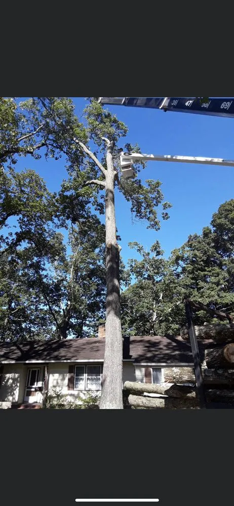 Expert landscape design near you in Richmond, VA by Team Takeover Lawn & Tree Service