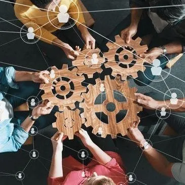 Expert lawn care service experts serving Palm Springs, FL - Team Together Services