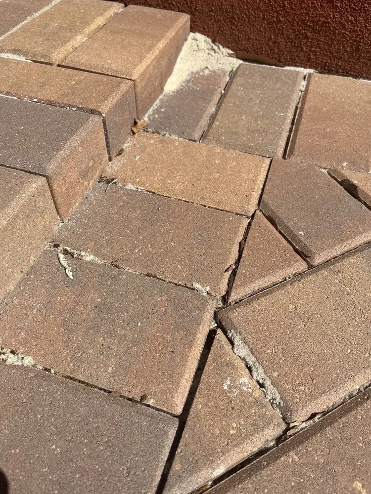 Expert landscaping services for homes across Clearwater, FL - Team Tolson Landscaping And Tree Care