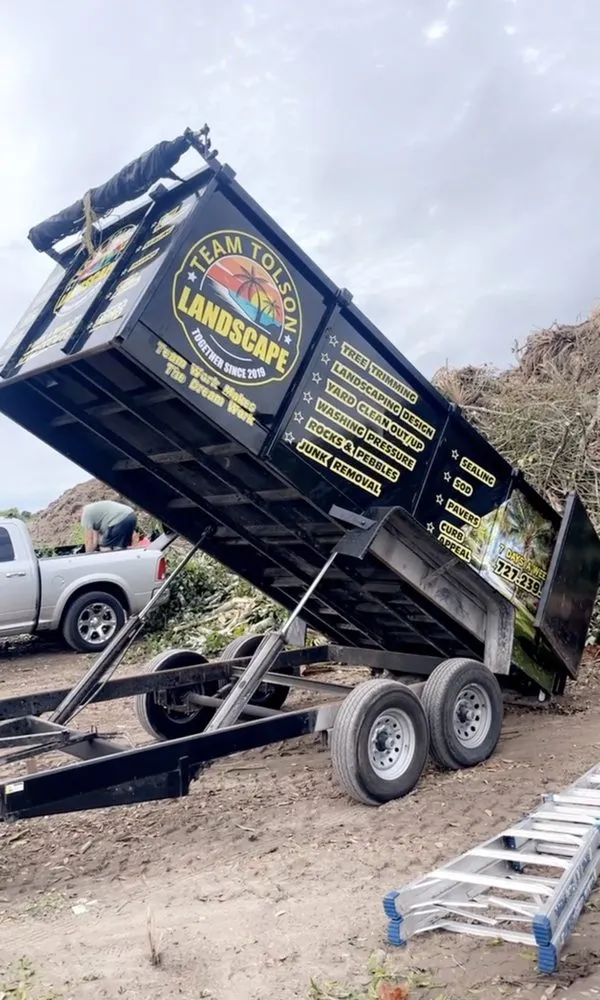 Local garden landscaping in Clearwater, FL by Team Tolson Landscaping And Tree Care