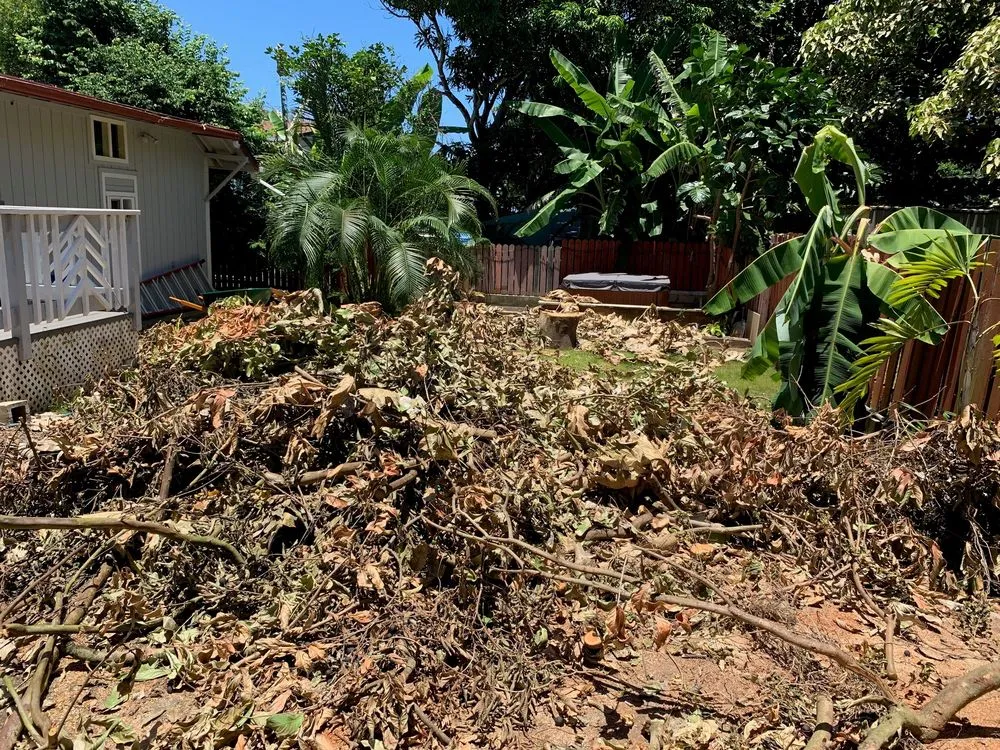 Reliable yard cleanup service experts serving Honolulu, HI - Team Topiary Landscaping Services