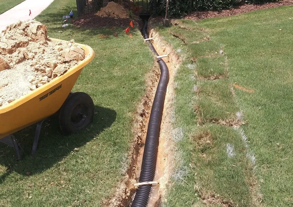 Custom yard cleanup service in Matthews, NC - Team Turf