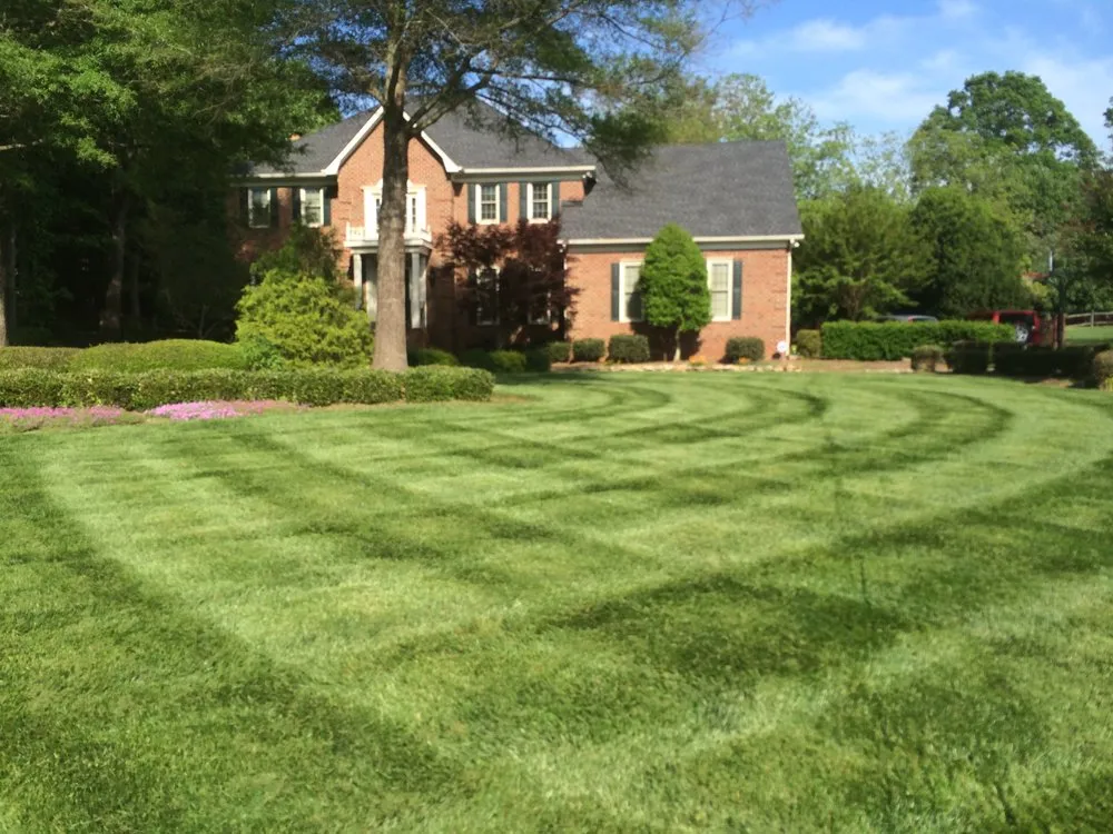 Custom landscape installation for year-round maintenance across Matthews, NC - Team Turf
