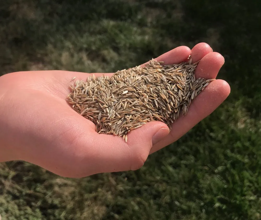 Top-rated residential landscaping experts serving Matthews, NC - Team Turf