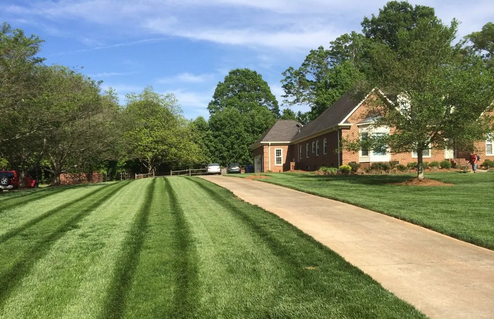 Top-rated yard maintenance in Matthews, NC - Team Turf
