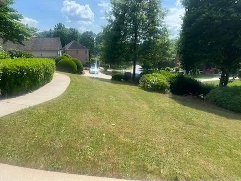 Custom garden landscaping experts serving San Bernardino, CA - Team Us Lawn & Moving Service