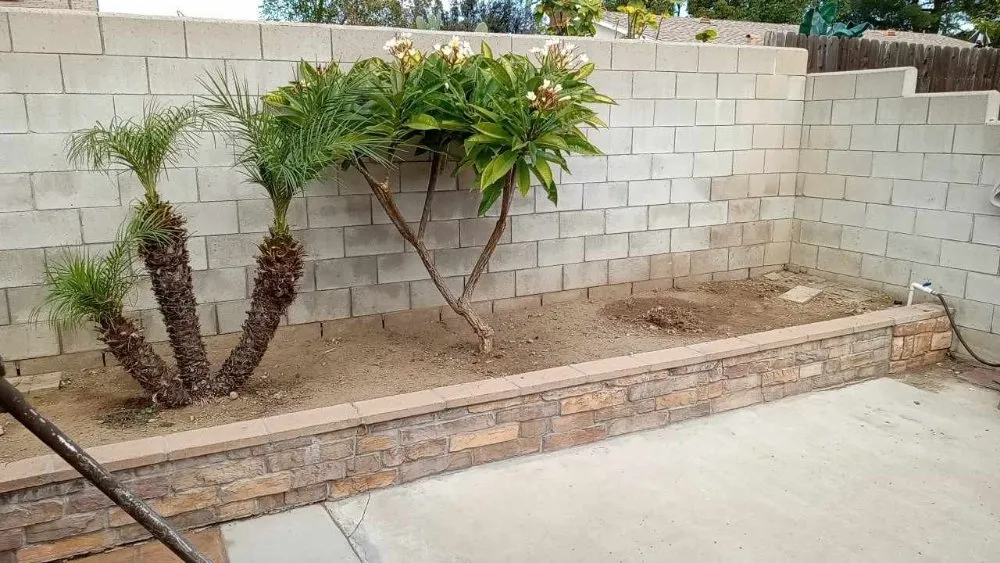 Custom lawn care service near you across San Bernardino, CA - Team Us Lawn & Moving Service