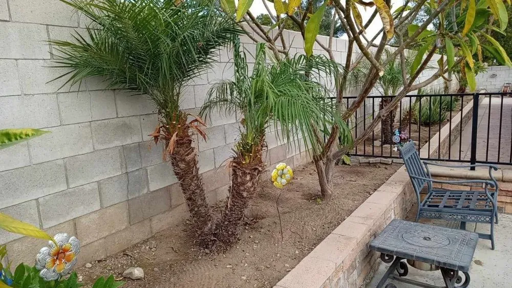 Professional lawn care service near you across San Bernardino, CA - Team Us Lawn & Moving Service