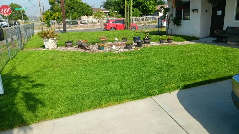 Local garden landscaping in San Bernardino, CA by Team Us Lawn & Moving Service