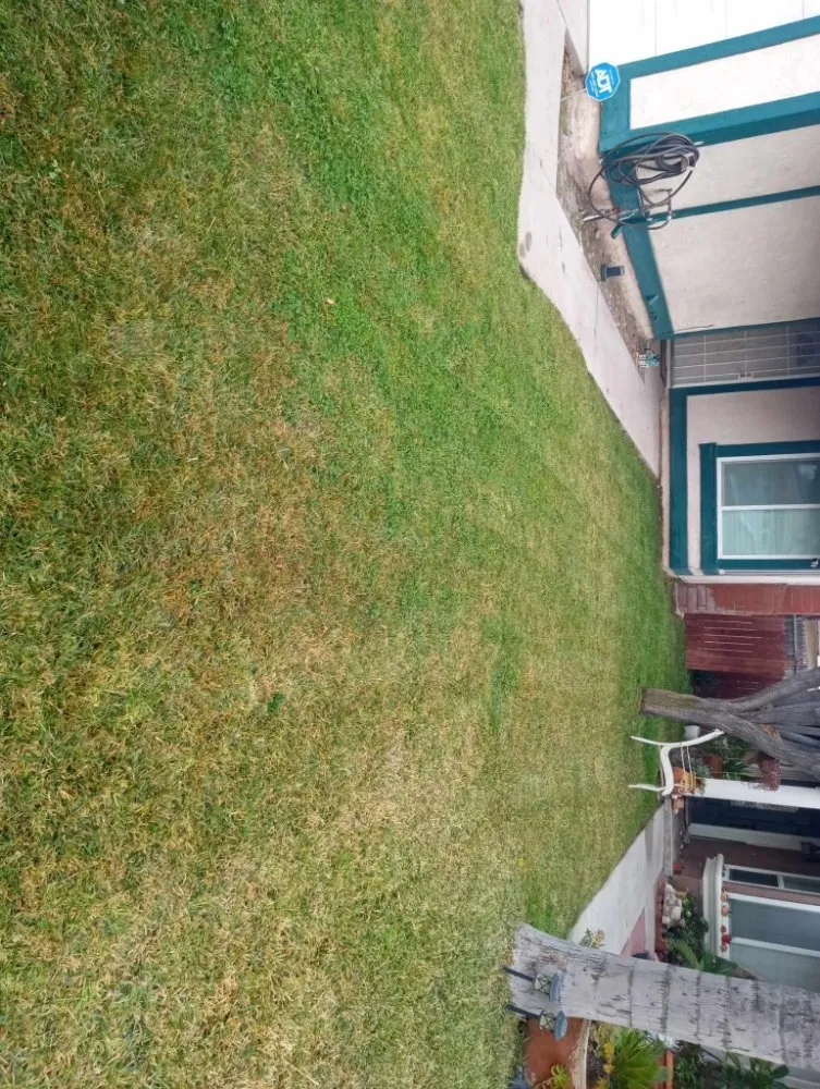 Professional garden landscaping in San Bernardino, CA by Team Us Lawn & Moving Service