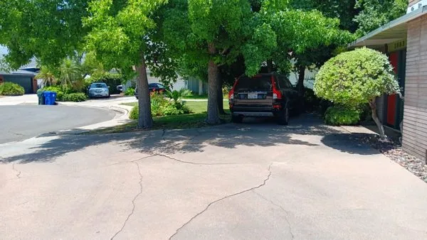 Team Us Lawn & Moving Service Logo