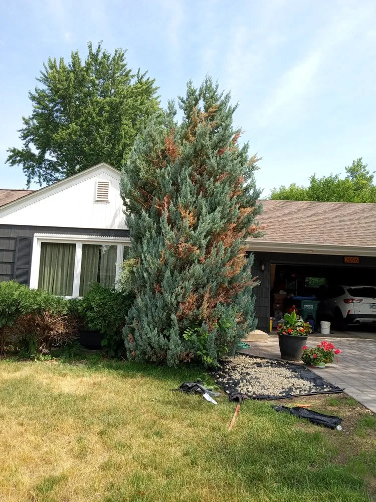 Top-rated outdoor landscaping for residential properties across Minneapolis, MN - Team Williams Lawn & Snow Services