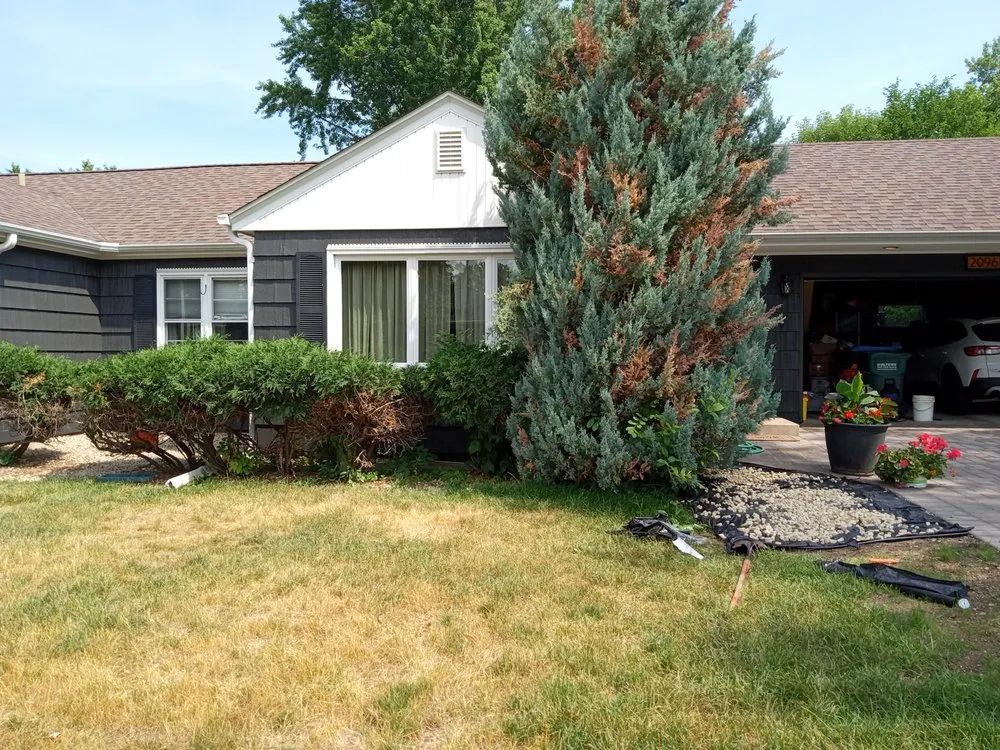 Trusted lawn care service for outdoor upgrades in Minneapolis, MN by Team Williams Lawn & Snow Services