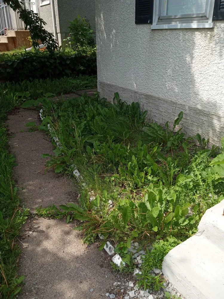 Custom yard cleanup service in Minneapolis, MN - Team Williams Lawn & Snow Services