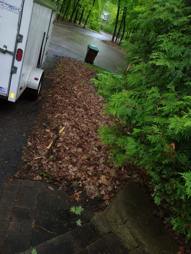 Affordable lawn mowing service for beautiful yards across Minneapolis, MN - Team Williams Lawn & Snow Services