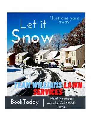 Team Williams Lawn & Snow Services Logo
